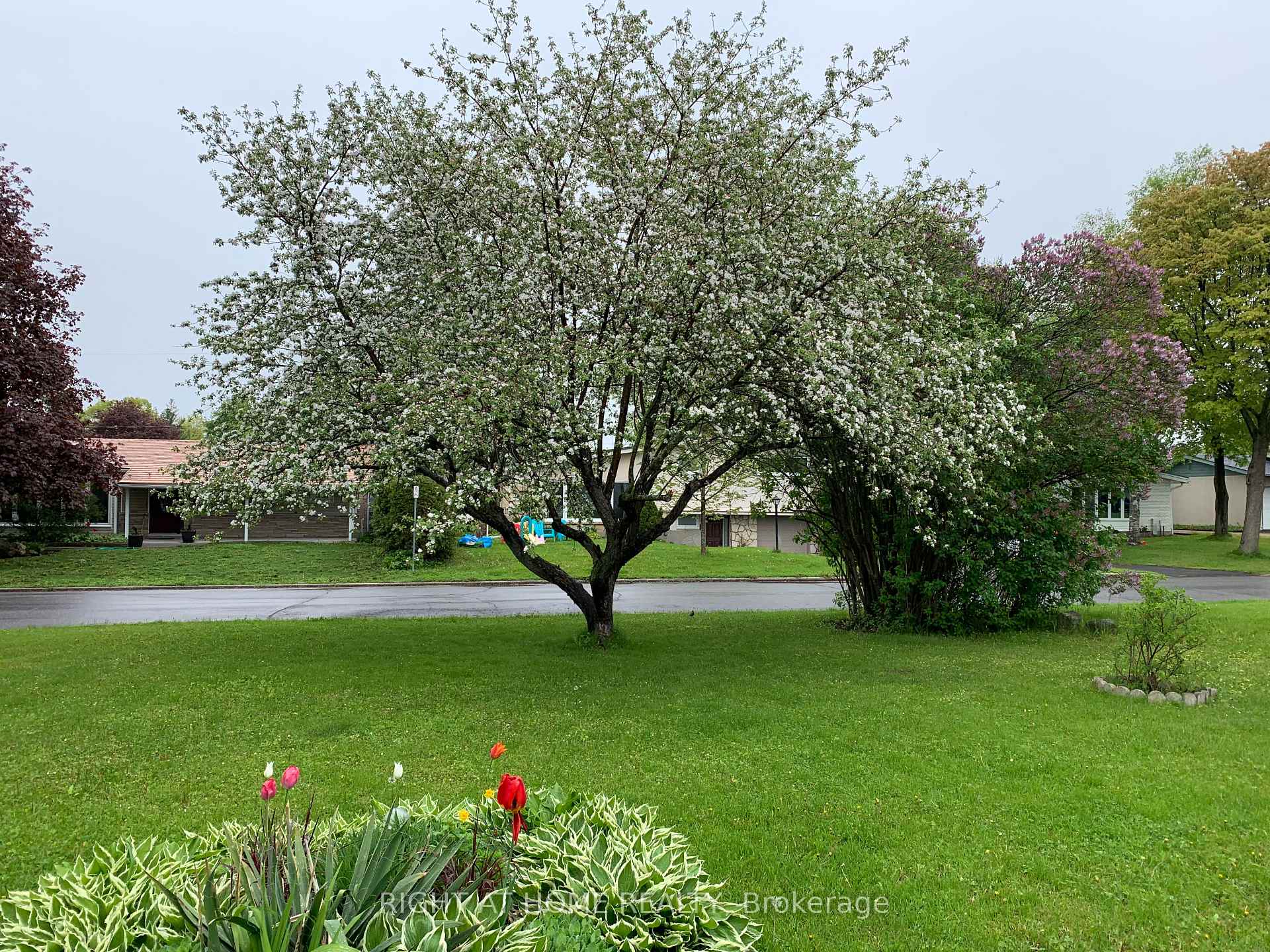 Photo 35 of 42 Cleadon Drive, Ottawa, Crystal Beach — HOMEH