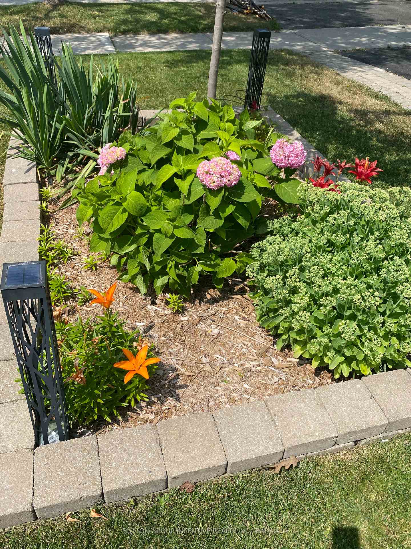 Photo 29 of 6 Sundew Drive, Barrie, Holly — HOMEH