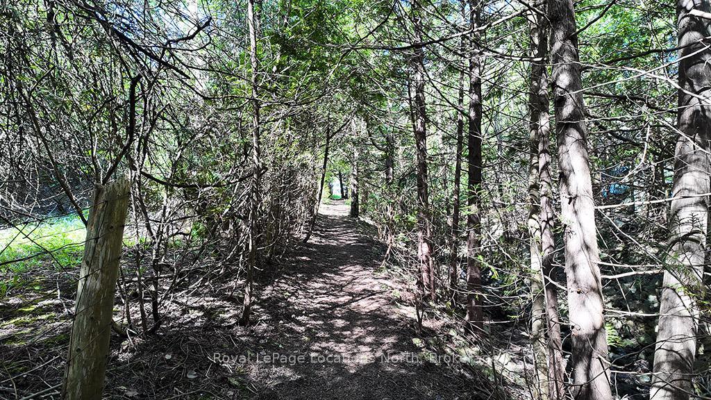 Photo 41 of 16 Trails End, Collingwood — HOMEH