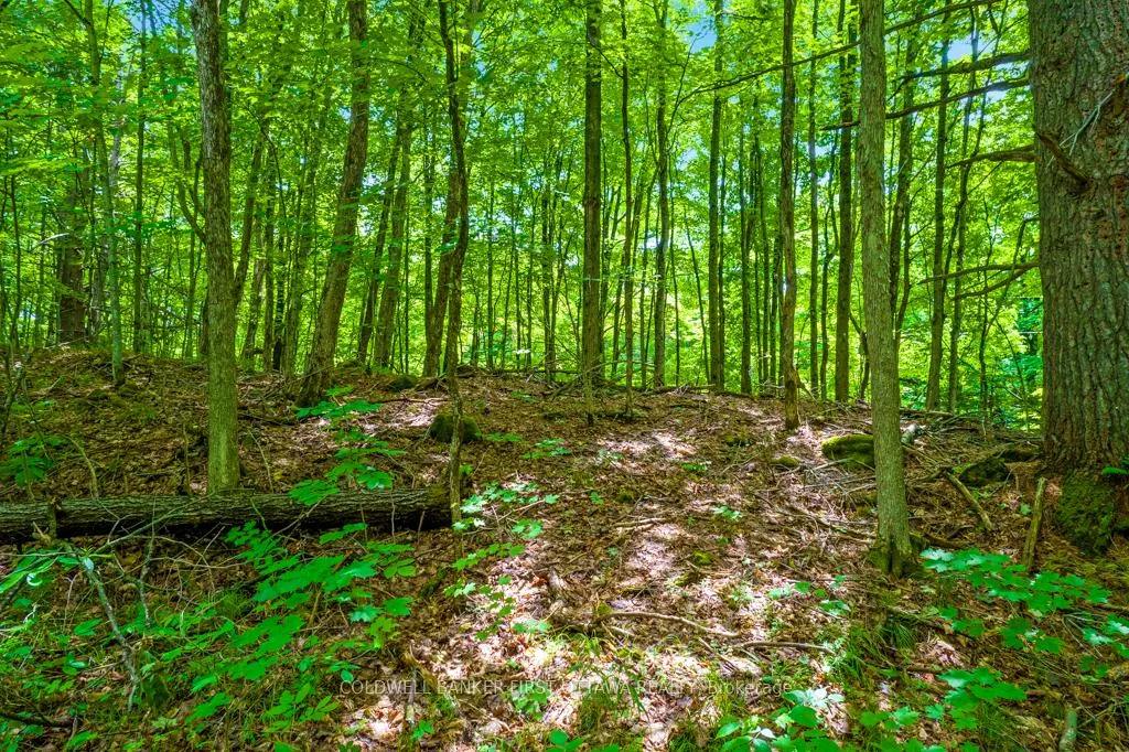 Photo 11 of 408 Doran Road, Tay Valley, Bathurst/Burgess & Sherbrooke (Bathurst) Twp — HOMEH