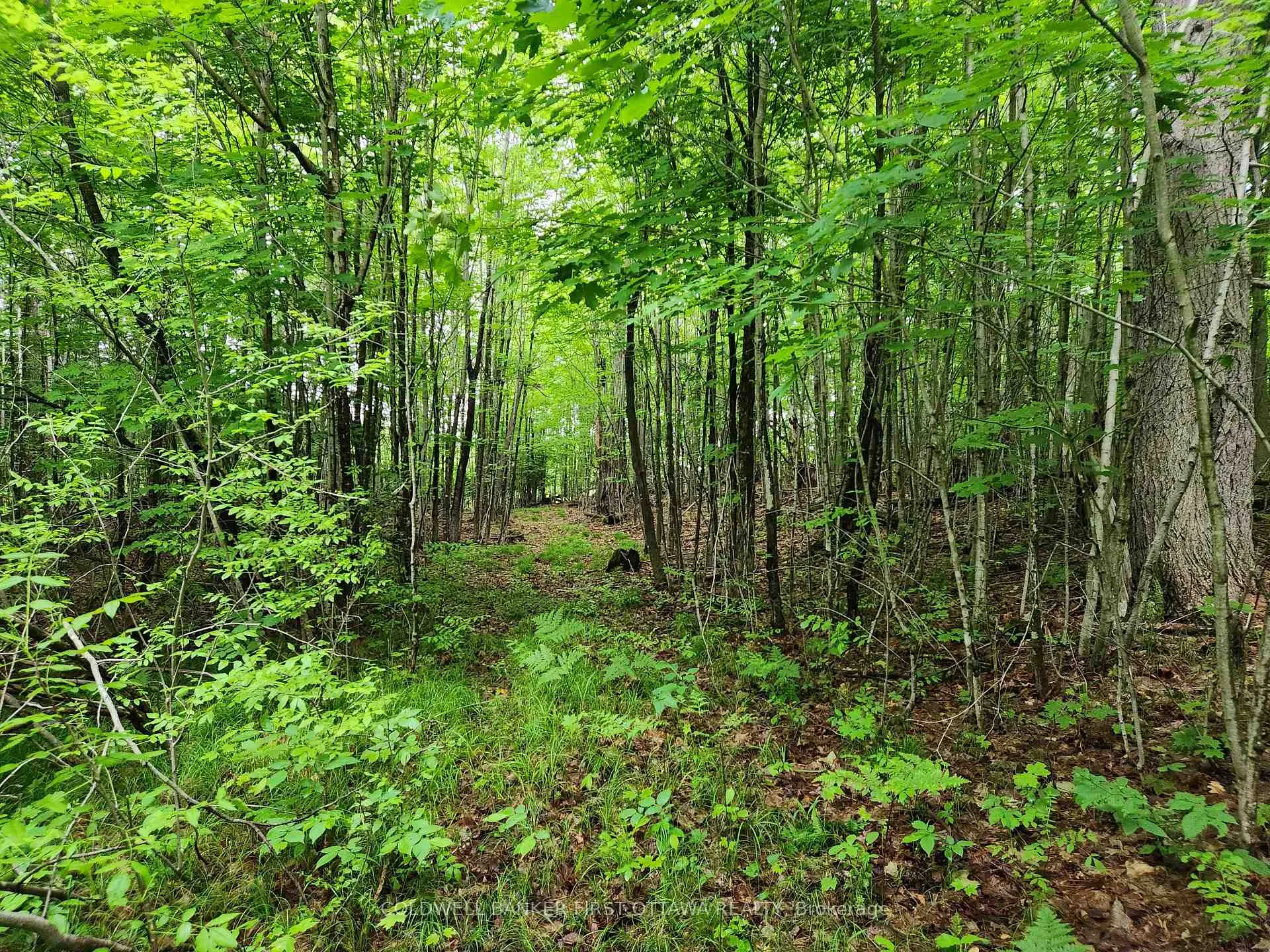 Photo 12 of 408 Doran Road, Tay Valley, Bathurst/Burgess & Sherbrooke (Bathurst) Twp — HOMEH