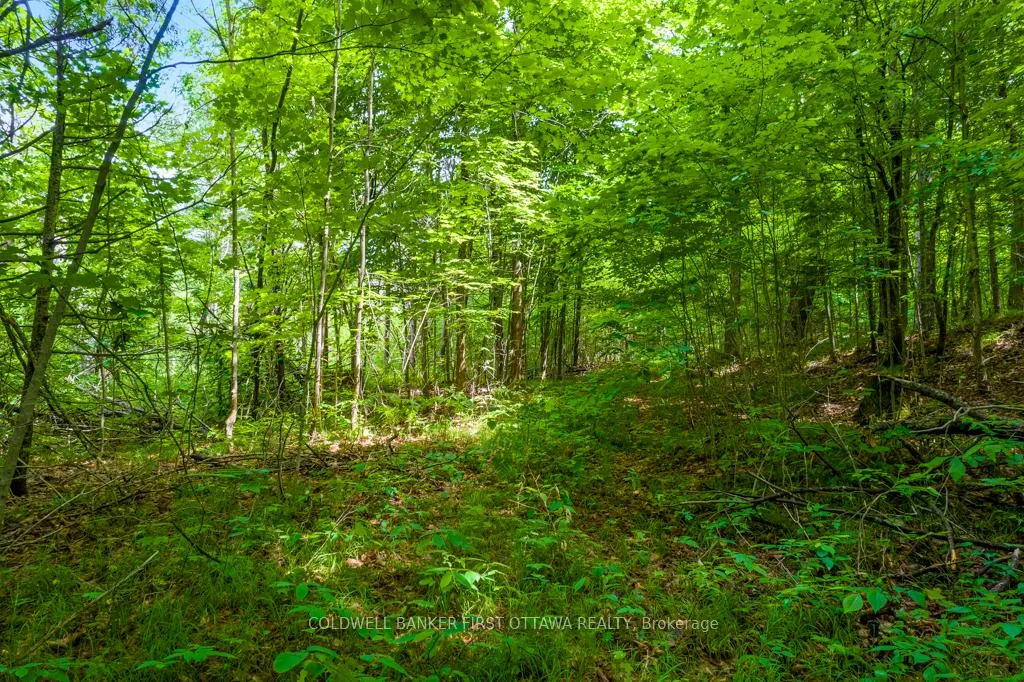 Photo 13 of 408 Doran Road, Tay Valley, Bathurst/Burgess & Sherbrooke (Bathurst) Twp — HOMEH