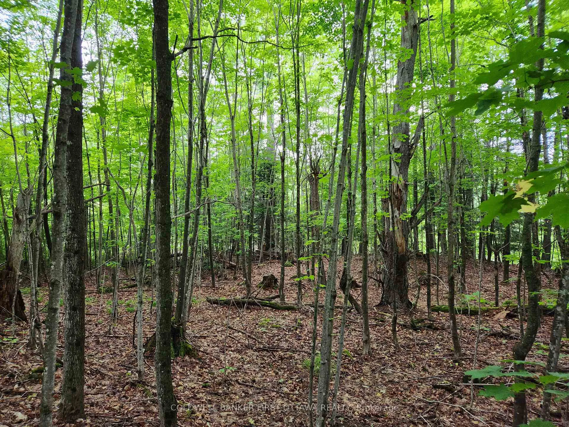 Photo 14 of 408 Doran Road, Tay Valley, Bathurst/Burgess & Sherbrooke (Bathurst) Twp — HOMEH