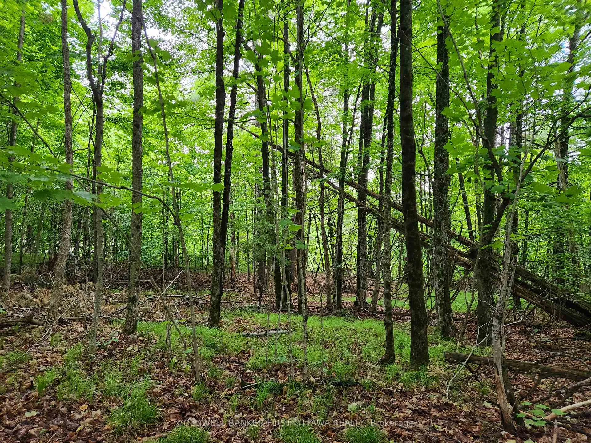 Photo 15 of 408 Doran Road, Tay Valley, Bathurst/Burgess & Sherbrooke (Bathurst) Twp — HOMEH