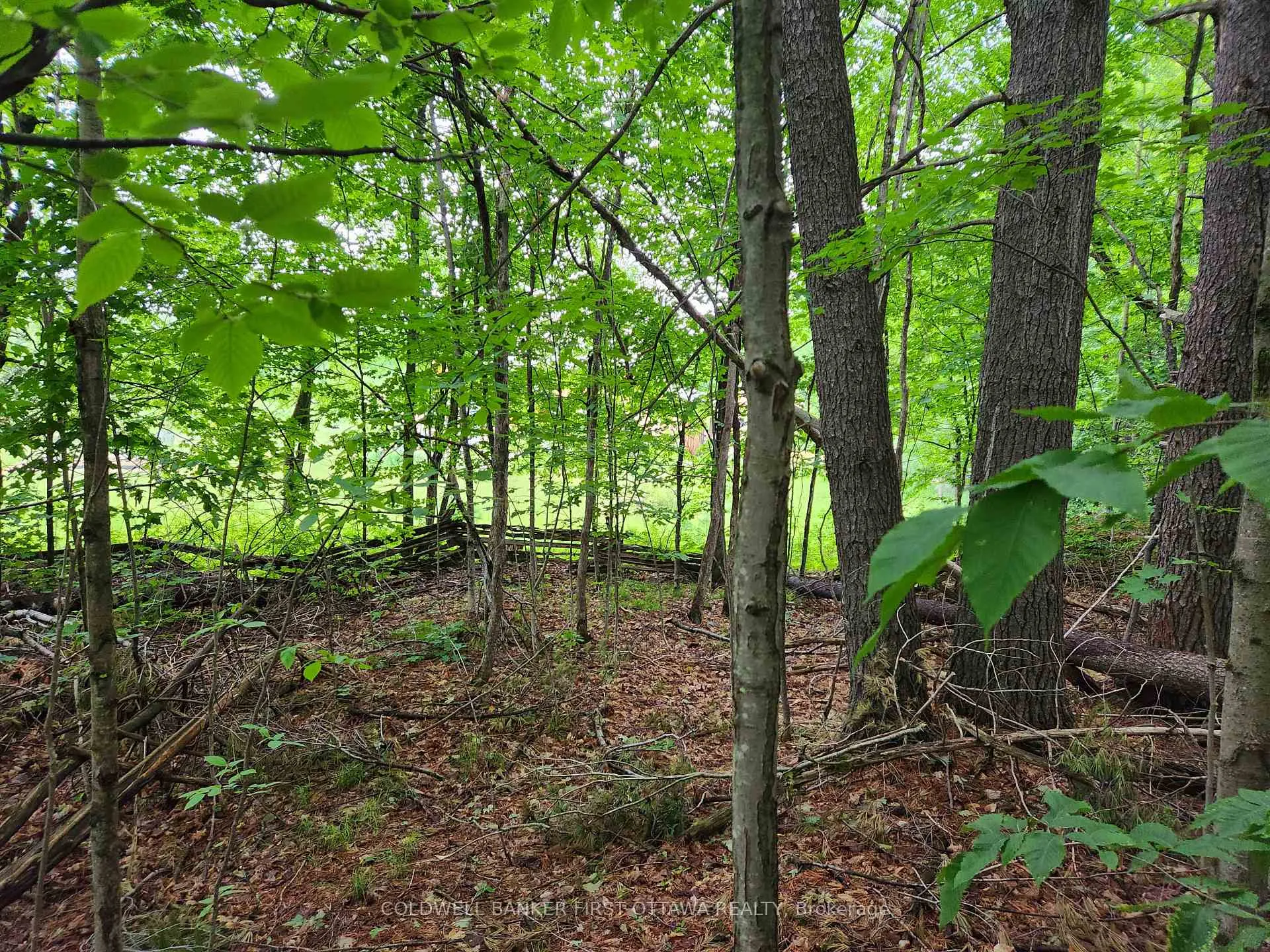 Photo 16 of 408 Doran Road, Tay Valley, Bathurst/Burgess & Sherbrooke (Bathurst) Twp — HOMEH