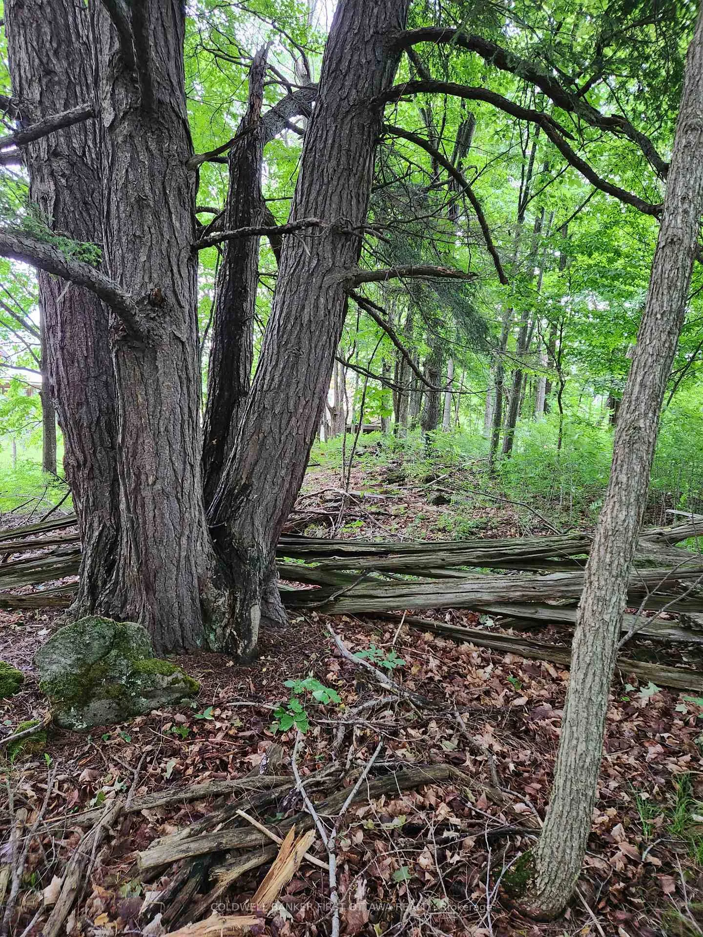 Photo 17 of 408 Doran Road, Tay Valley, Bathurst/Burgess & Sherbrooke (Bathurst) Twp — HOMEH