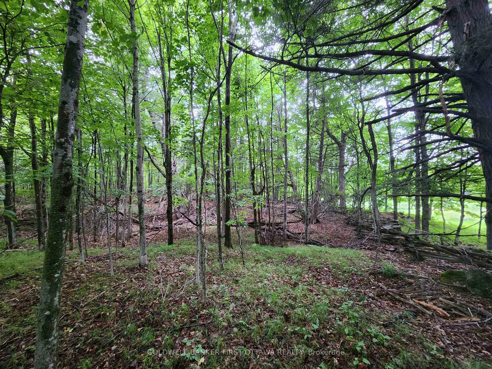 Photo 19 of 408 Doran Road, Tay Valley, Bathurst/Burgess & Sherbrooke (Bathurst) Twp — HOMEH