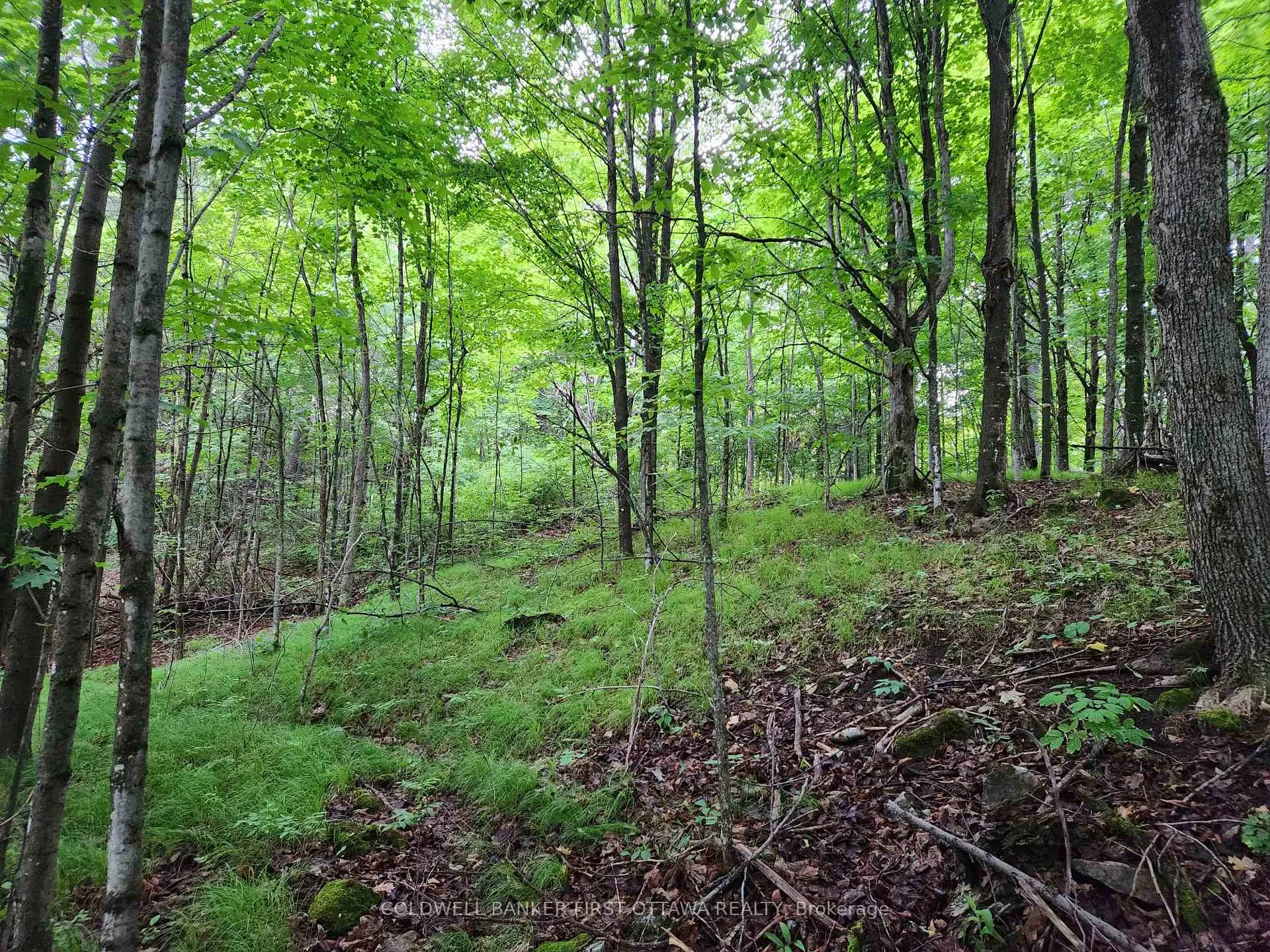 Photo 20 of 408 Doran Road, Tay Valley, Bathurst/Burgess & Sherbrooke (Bathurst) Twp — HOMEH