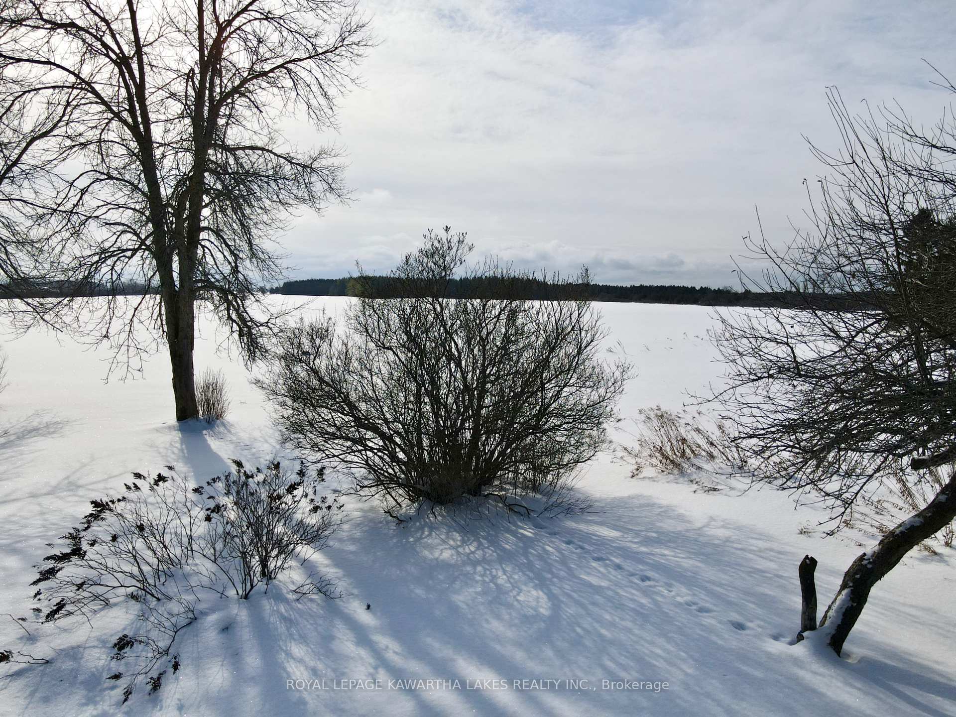 Photo 17 of B680 & B682 Concession 2 Road, Brock, Rural Brock — HOMEH