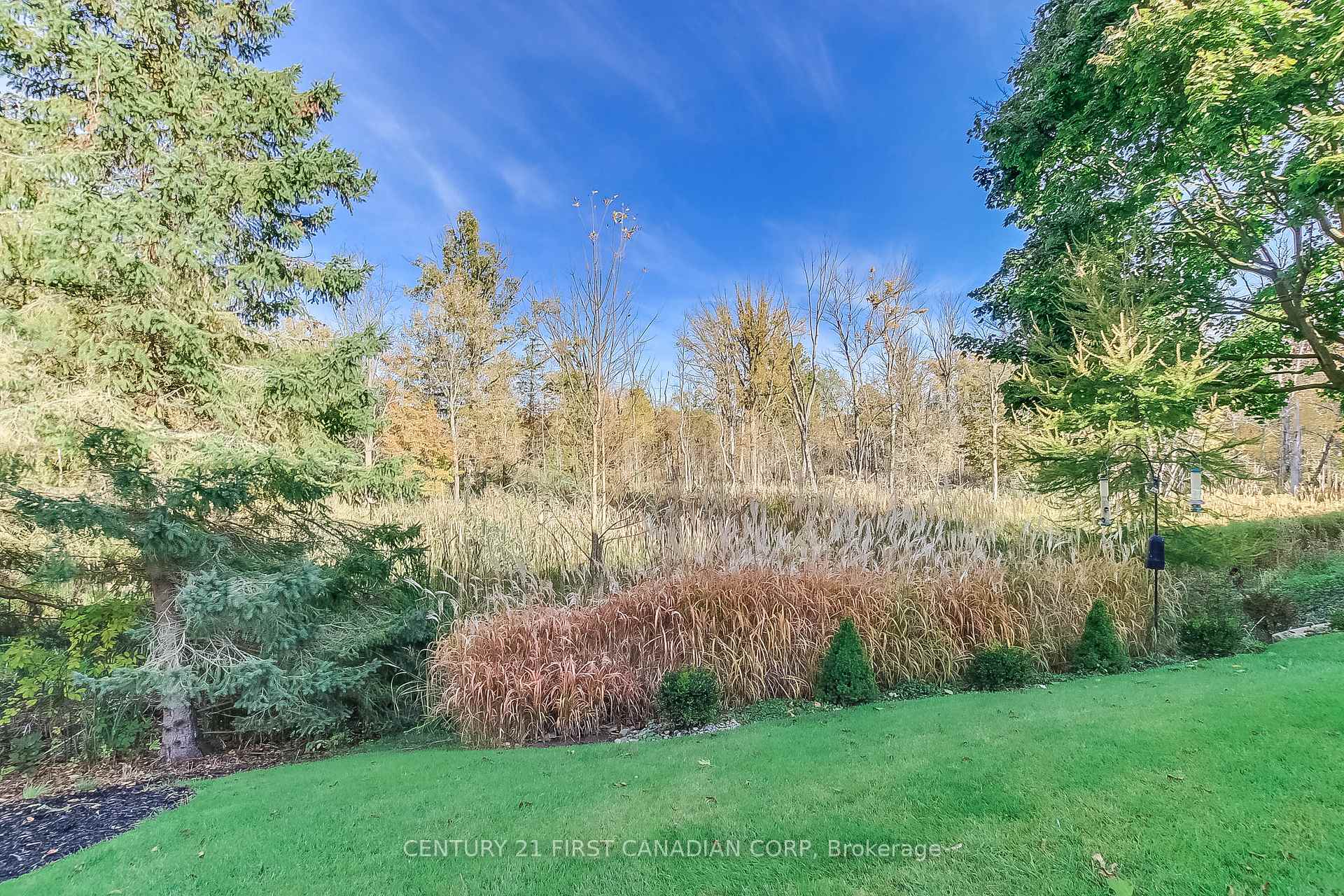 Photo 28 of 307 Metcalfe Street E, Strathroy-Caradoc, NE — HOMEH