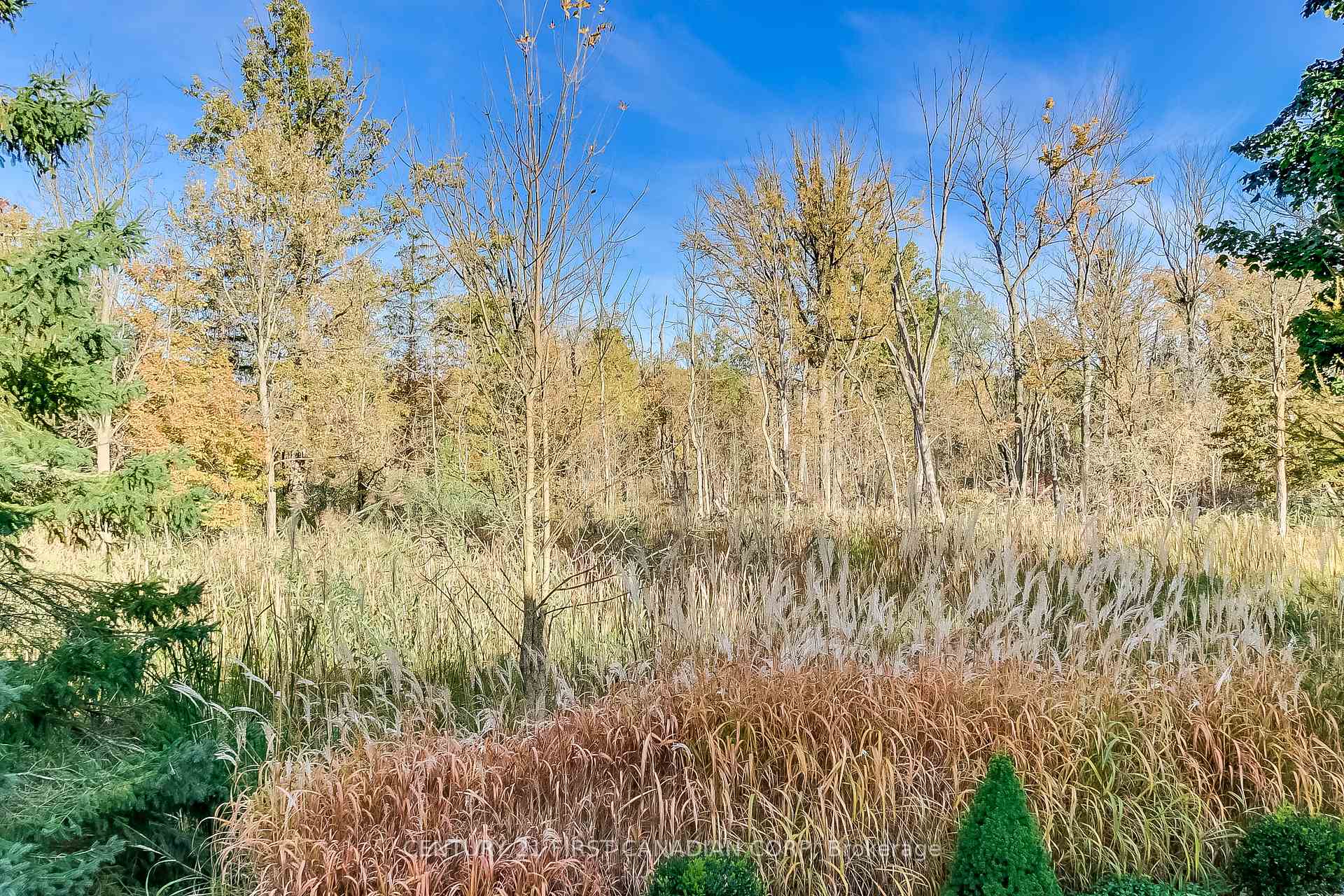 Photo 29 of 307 Metcalfe Street E, Strathroy-Caradoc, NE — HOMEH