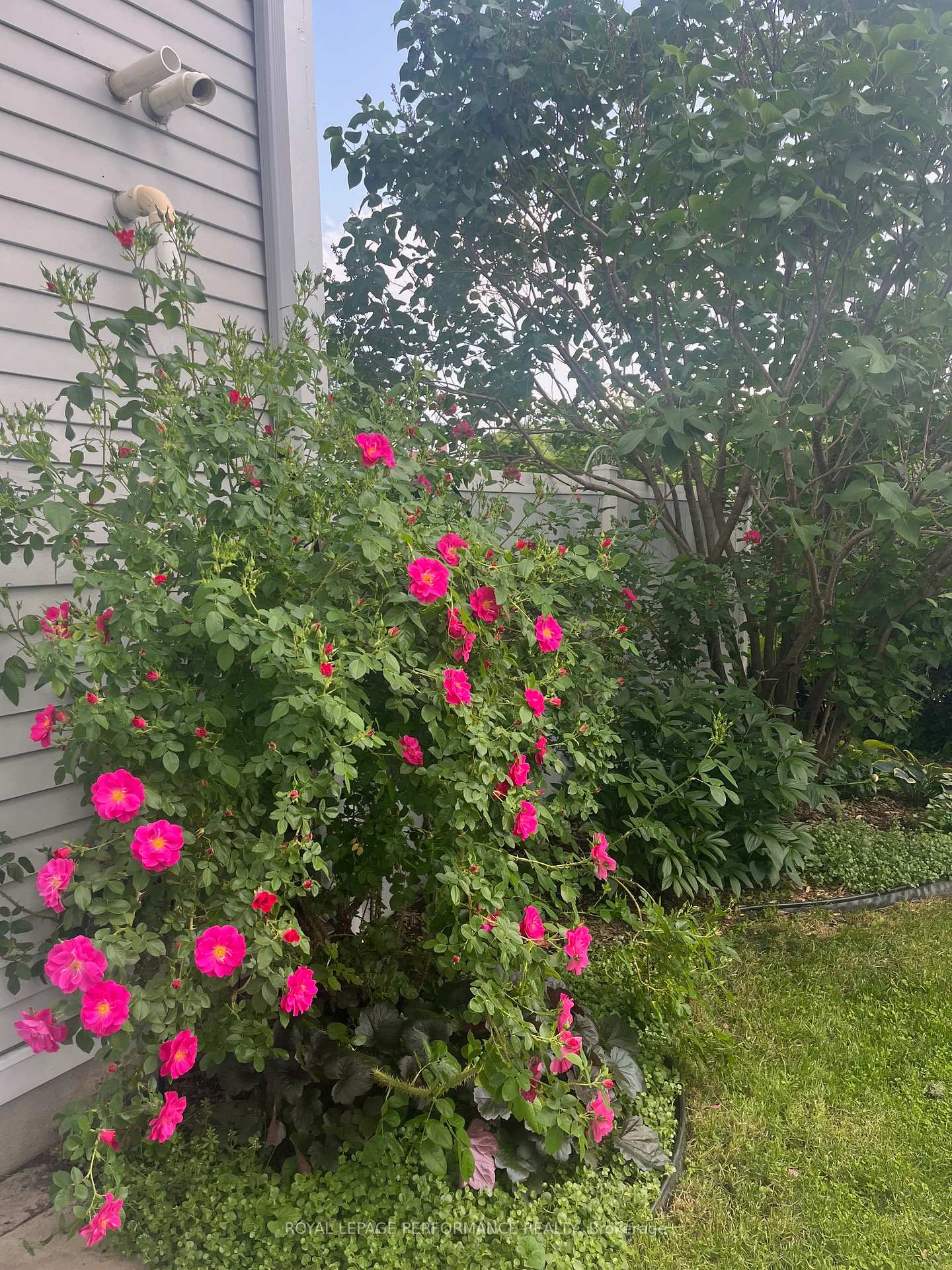 Photo 42 of 5 Forsyth Lane, Ottawa, Crystal Beach — HOMEH