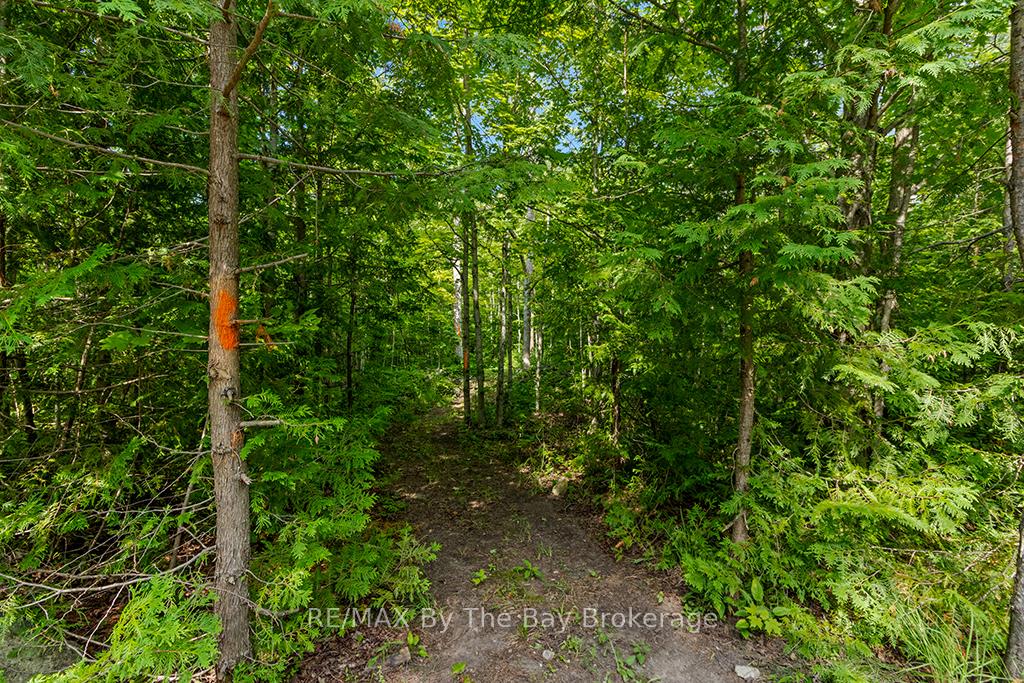 Photo 32 of 600055 50 Side Road S, Chatsworth — HOMEH