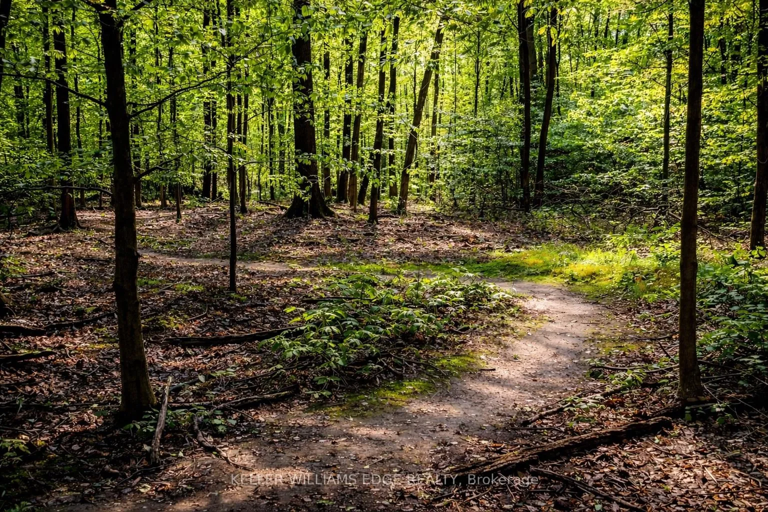 Photo 48 of 168 Echovalley Drive, Hamilton, Stoney Creek Mountain — HOMEH