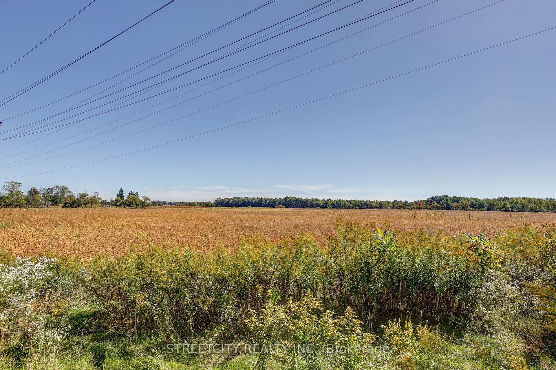 Photo 40 of 276 Marsh Line, Dutton/Dunwich, Dutton — HOMEH