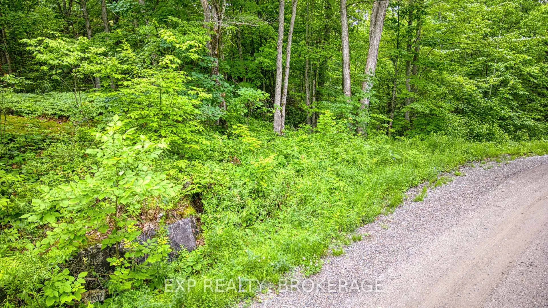 Photo 6 of PT LT 14-15 CON 7 Echo Lake Road, Frontenac, Frontenac Centre — HOMEH