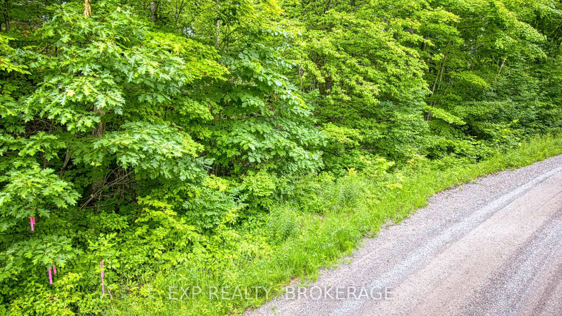 Photo 7 of PT LT 14-15 CON 7 Echo Lake Road, Frontenac, Frontenac Centre — HOMEH