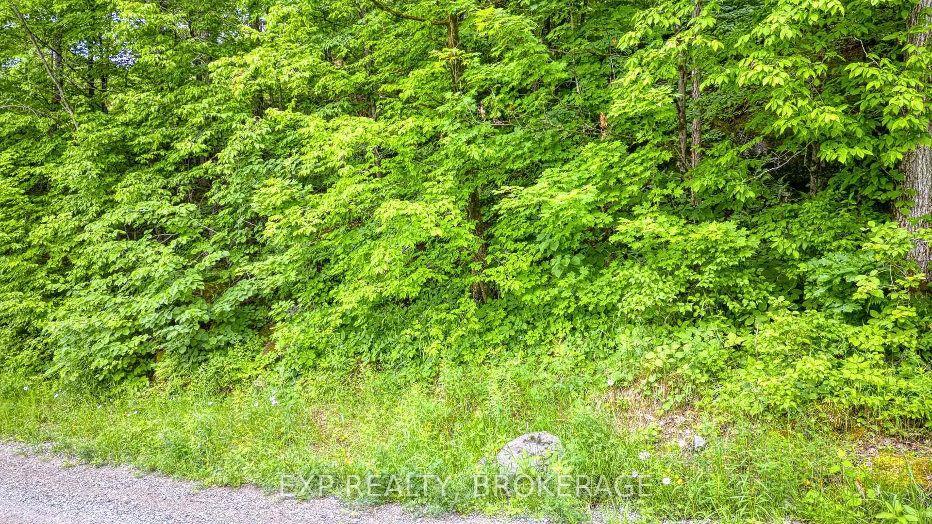 Photo 25 of PT LT 14-15 CON 7 Echo Lake Road, Frontenac, Frontenac Centre — HOMEH