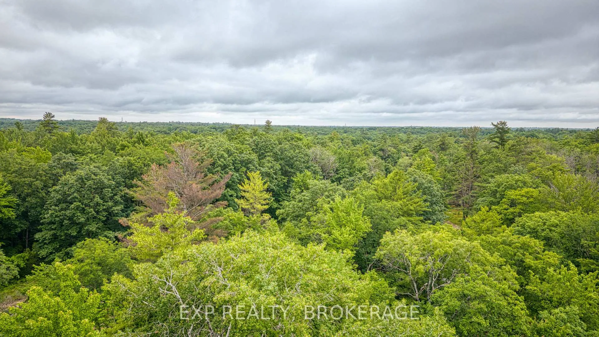 Photo 26 of PT LT 14-15 CON 7 Echo Lake Road, Frontenac, Frontenac Centre — HOMEH