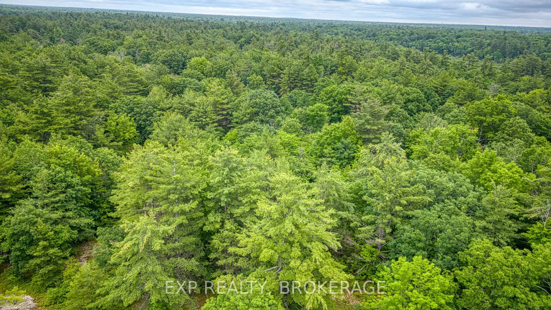 Photo 39 of PT LT 14-15 CON 7 Echo Lake Road, Frontenac, Frontenac Centre — HOMEH