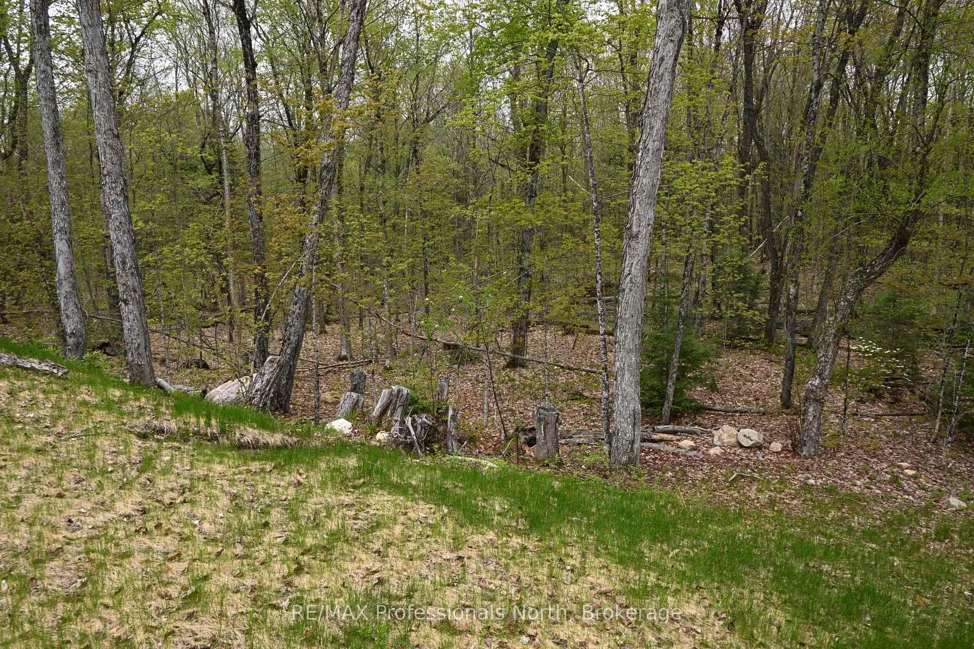Photo 147 of 121 Loon Lake Road, Magnetawan — HOMEH