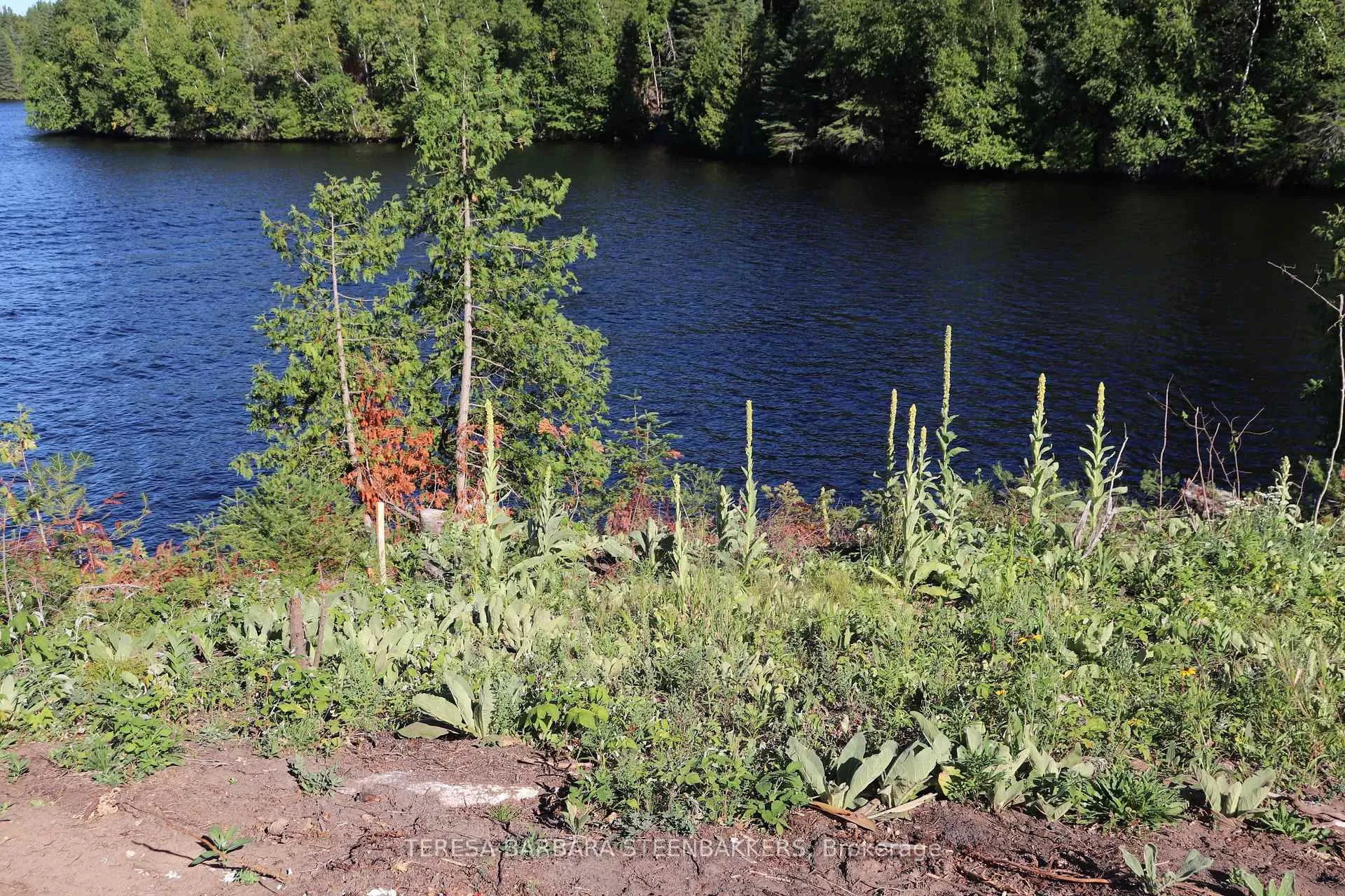 Photo 9 of Sweets Lane, Greater Madawaska — HOMEH