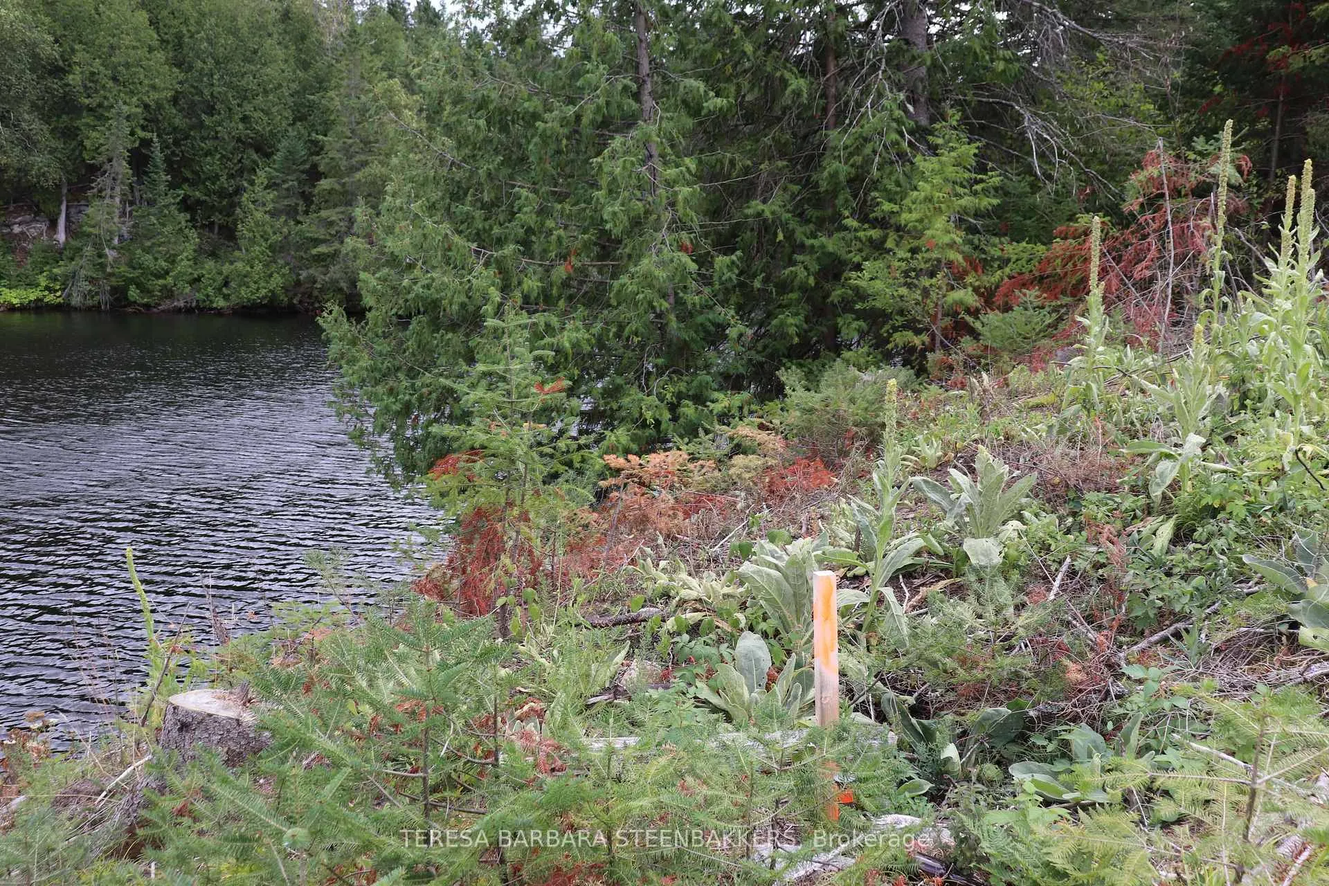 Photo 18 of Sweets Lane, Greater Madawaska — HOMEH