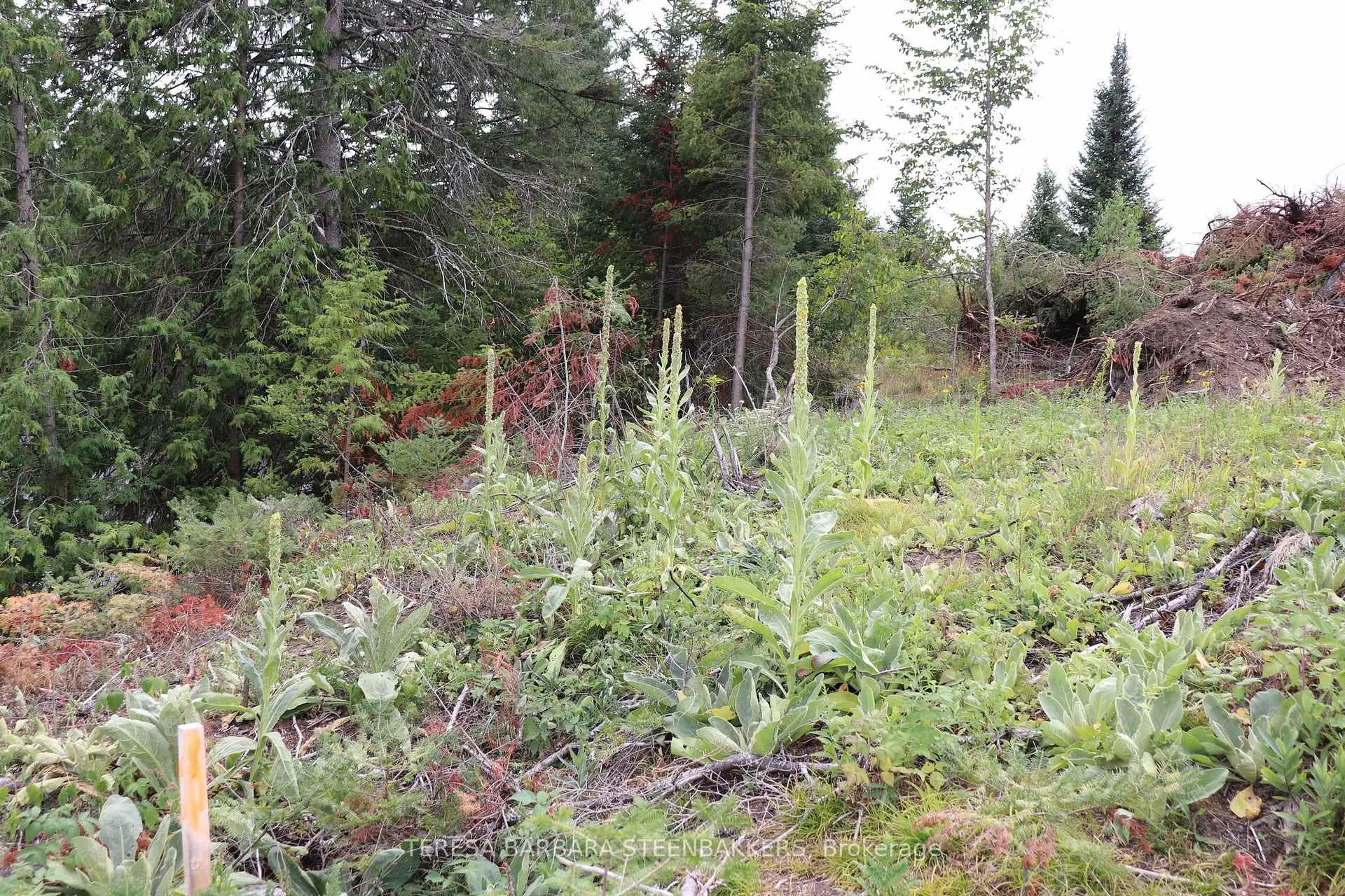 Photo 19 of Sweets Lane, Greater Madawaska — HOMEH