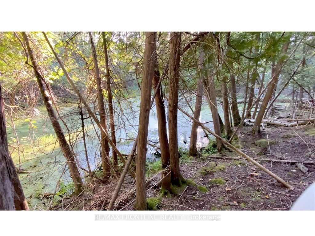 Photo 10 of 215 Morris Island Drive, Ottawa, Fitzroy — HOMEH
