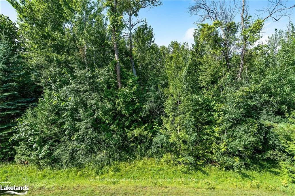 Photo 25 of Unit 202, 4 Brandy Lane Drive, Collingwood — HOMEH