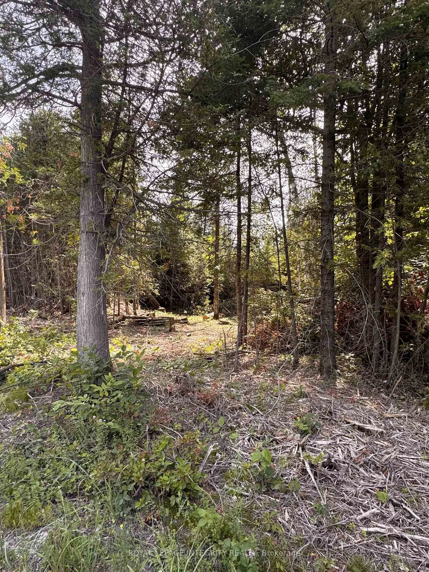 Photo 2 of 7110 Gallagher Road, Ottawa, Rideau Twp S of Reg Rd 6 W of Mccordick Rd. — HOMEH