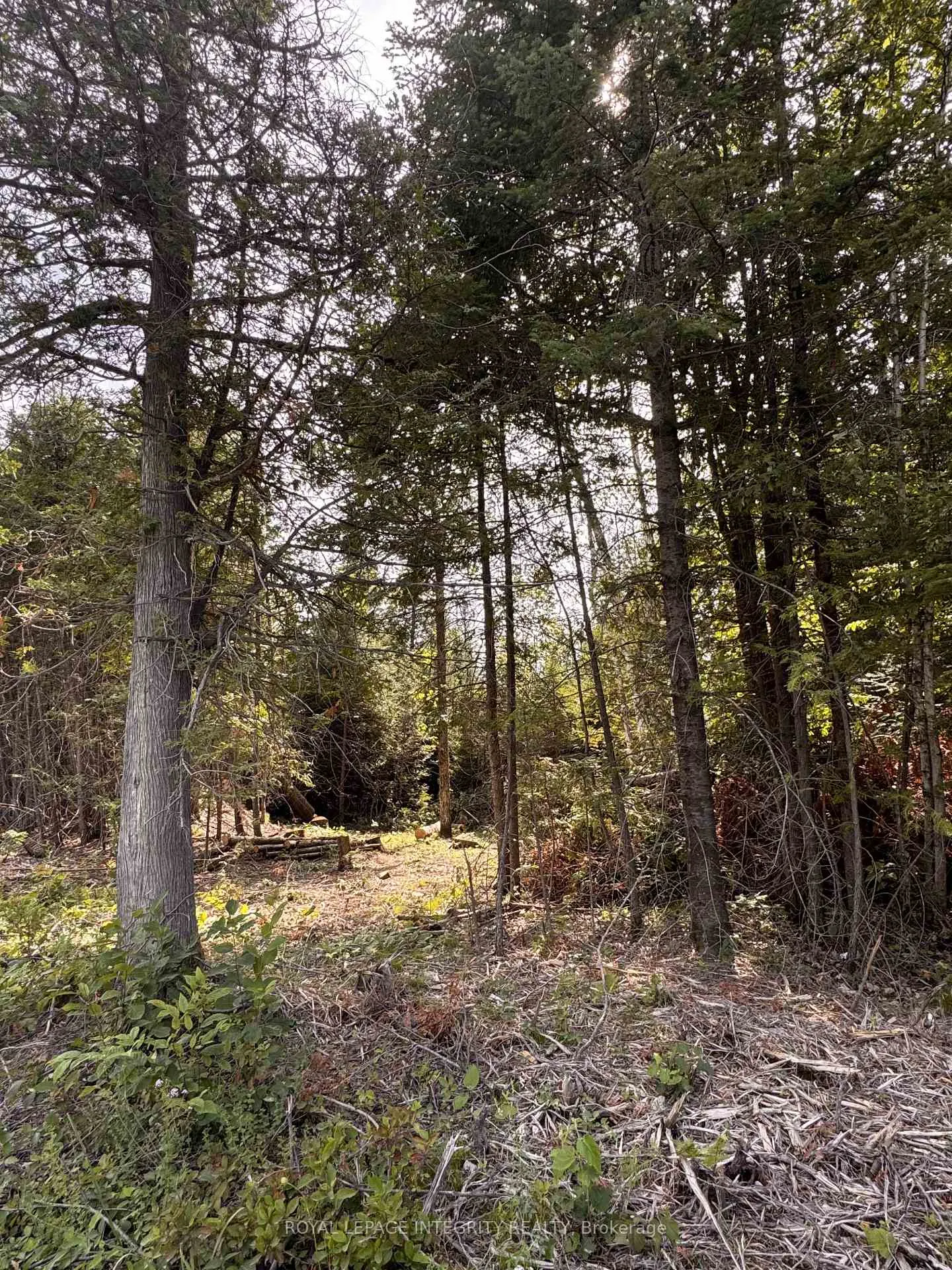 Photo 6 of 7110 Gallagher Road, Ottawa, Rideau Twp S of Reg Rd 6 W of Mccordick Rd. — HOMEH