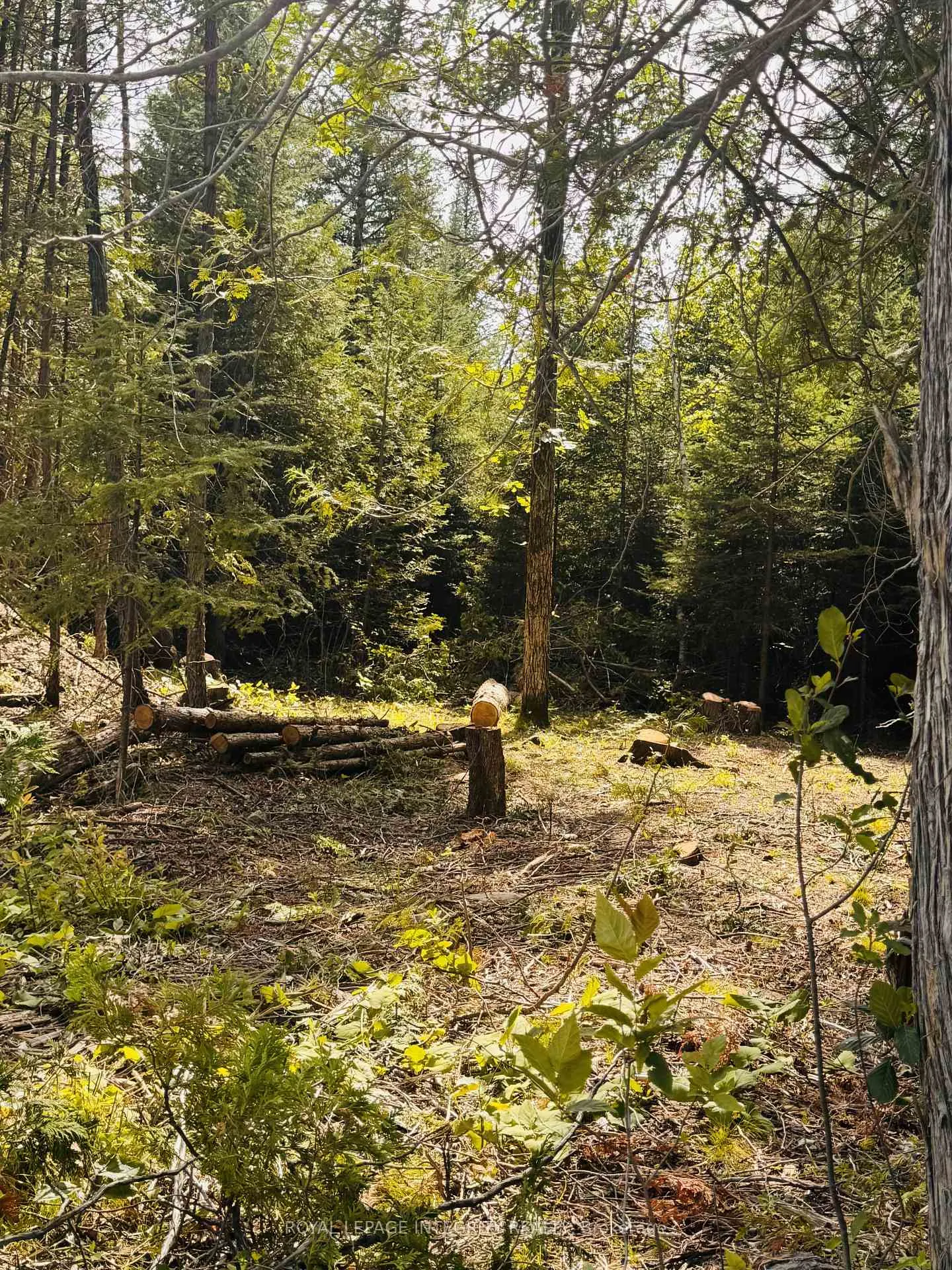 Photo 11 of 7110 Gallagher Road, Ottawa, Rideau Twp S of Reg Rd 6 W of Mccordick Rd. — HOMEH
