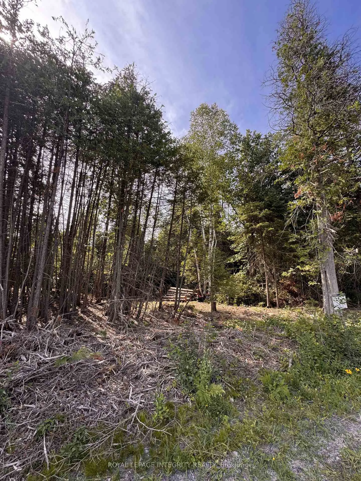 Photo 12 of 7110 Gallagher Road, Ottawa, Rideau Twp S of Reg Rd 6 W of Mccordick Rd. — HOMEH