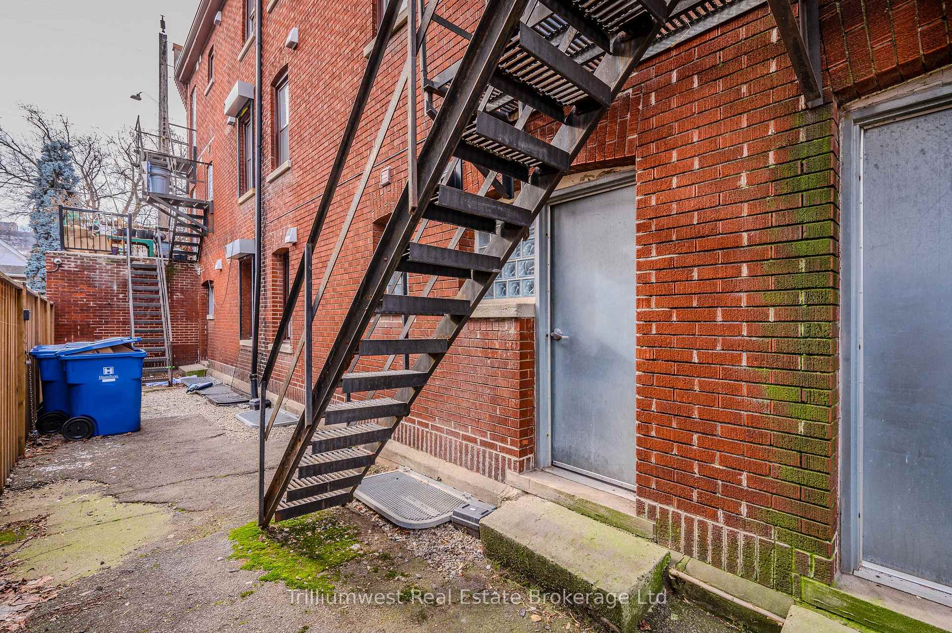 Photo 14 of Unit 3, 41 Albert Street, Hamilton, Blakeley — HOMEH