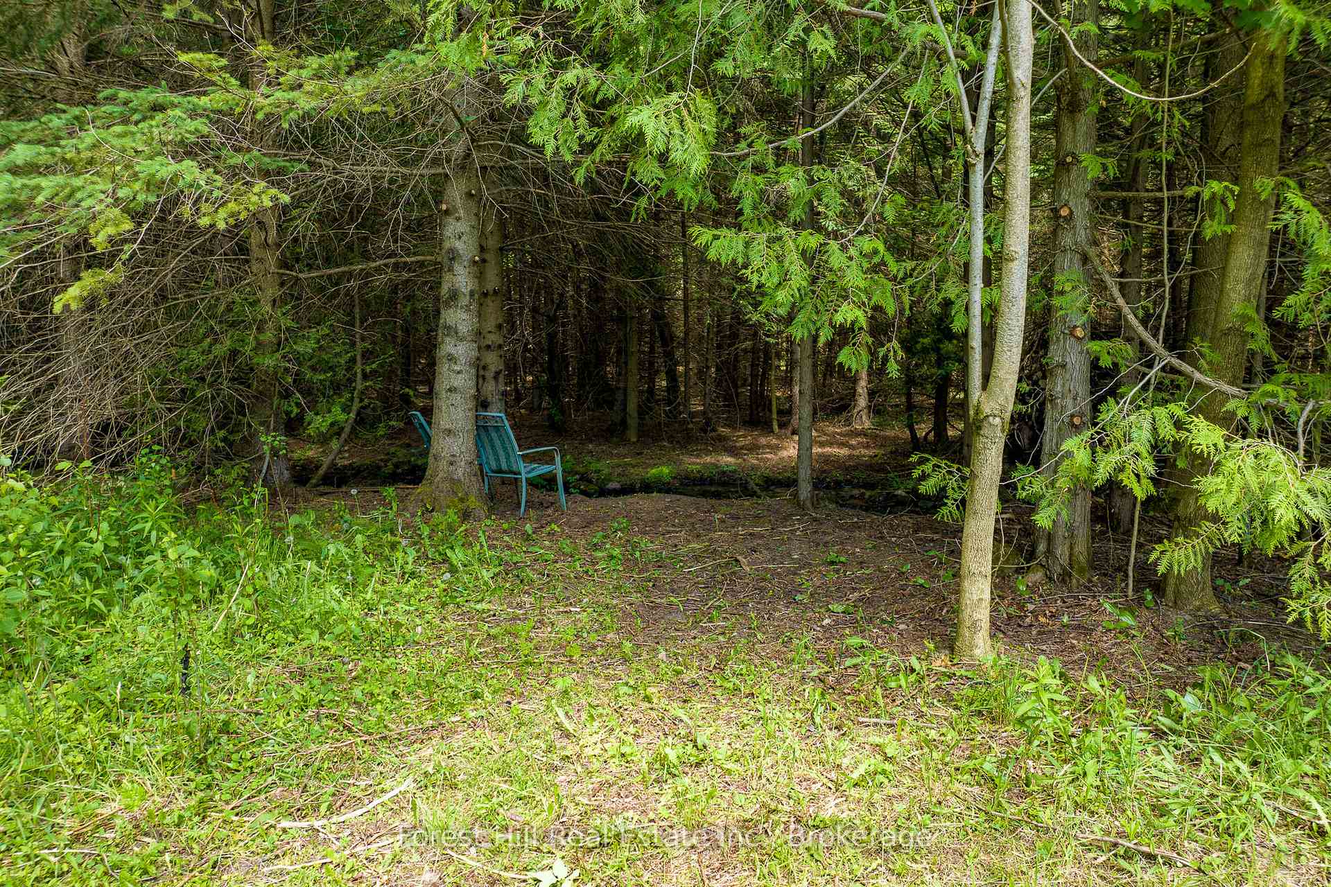 Photo 36 of 555262 6th Line, Blue Mountains — HOMEH