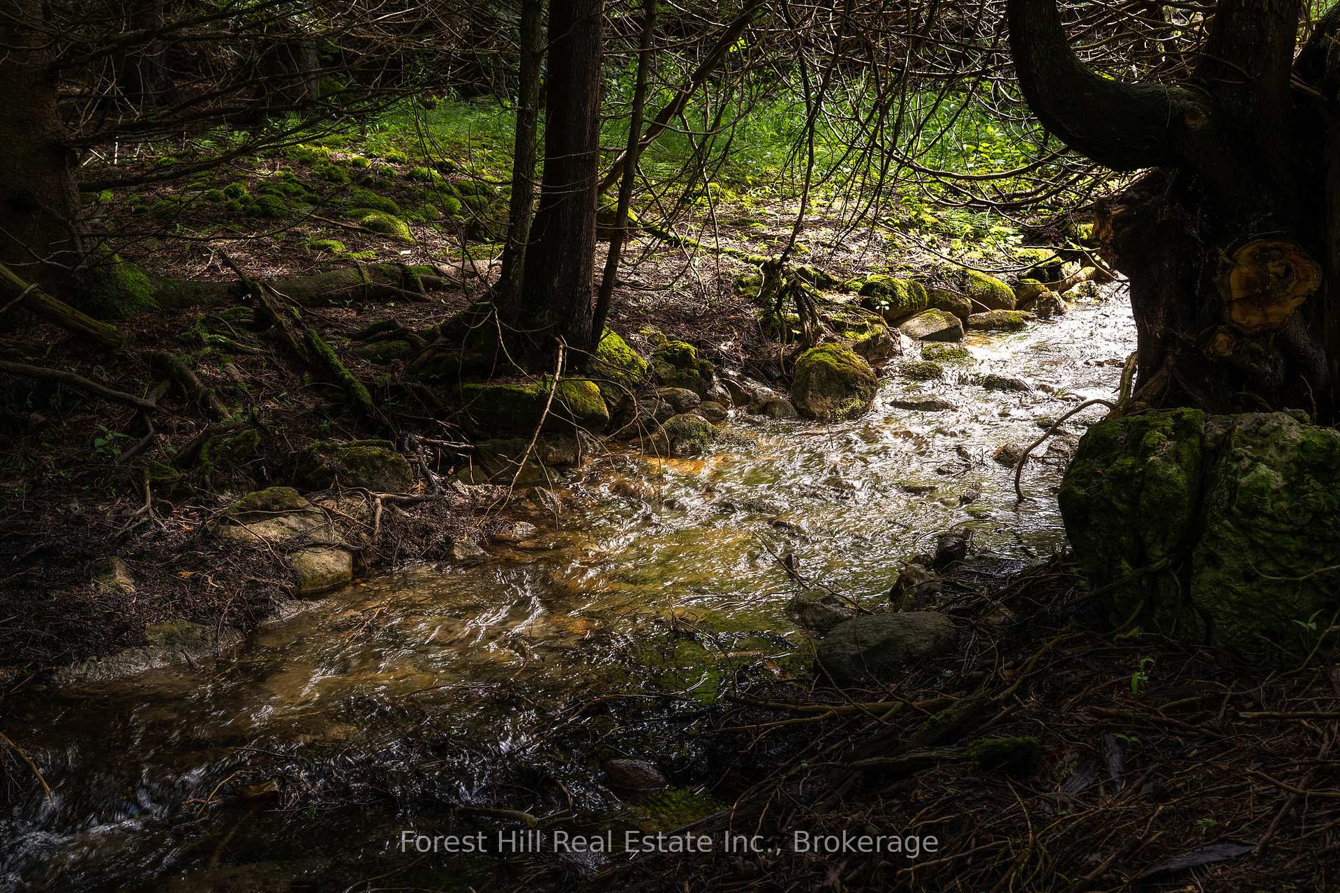 Photo 38 of 555262 6th Line, Blue Mountains — HOMEH