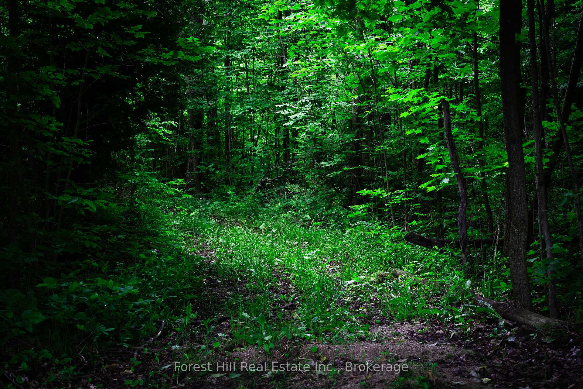 Photo 40 of 555262 6th Line, Blue Mountains — HOMEH