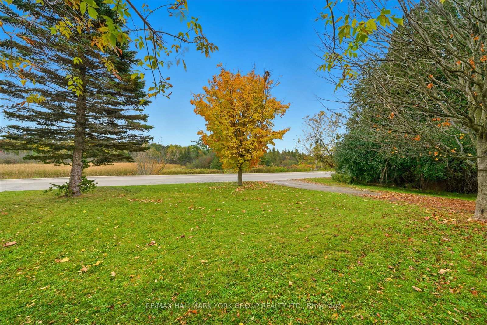 Photo 14 of 32 Station Road, Georgina, Pefferlaw — HOMEH