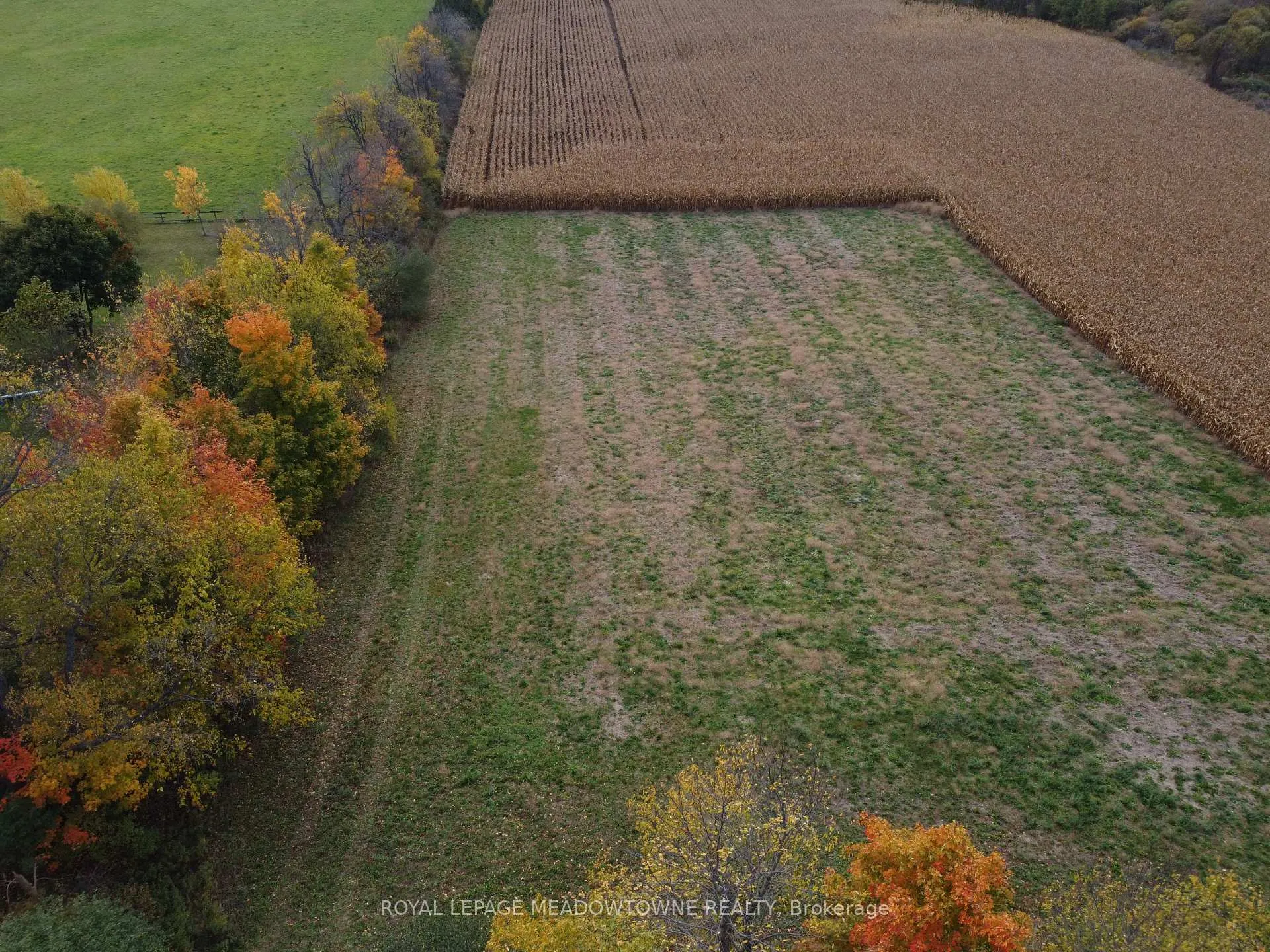 Photo 14 of 5258 Third Line, Erin, Rural Erin — HOMEH
