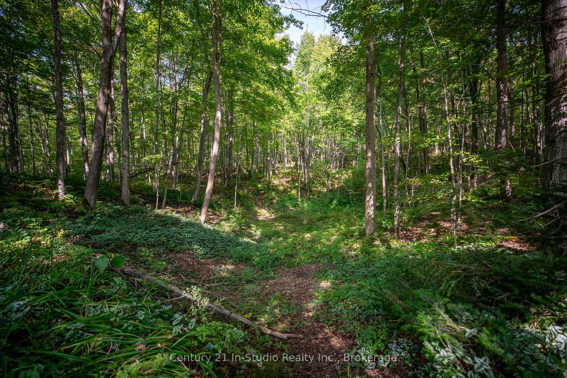 Photo 10 of 540019 80 Side Road, Chatsworth — HOMEH
