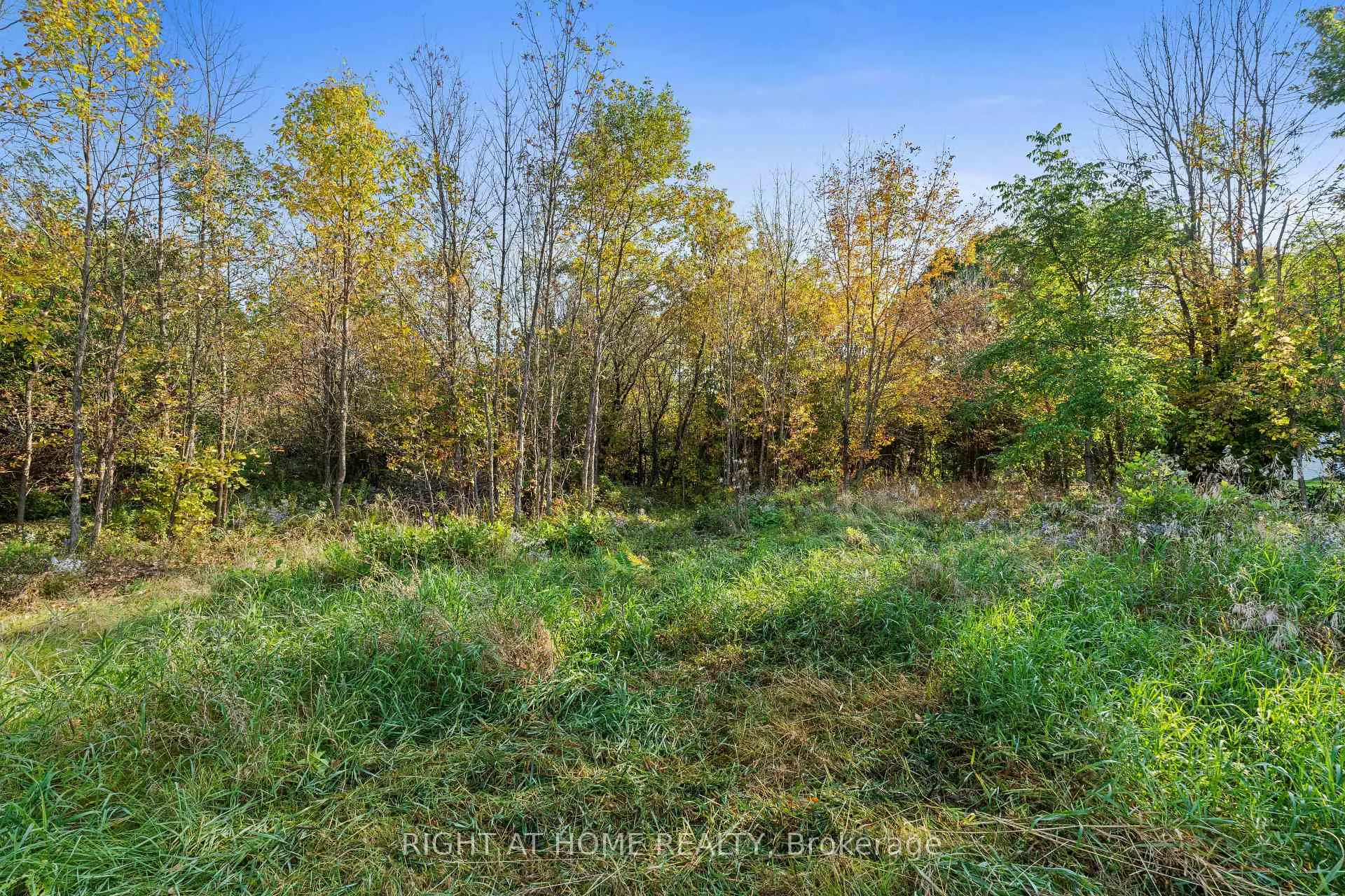 Photo 9 of 108 Old Ship Road, Ottawa, Fitzroy — HOMEH