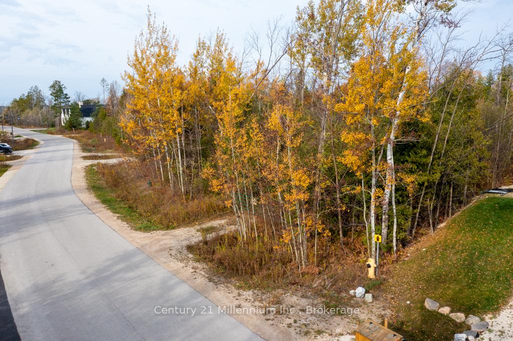 Photo 7 of LOT 26 Delphi Lane, Blue Mountains — HOMEH