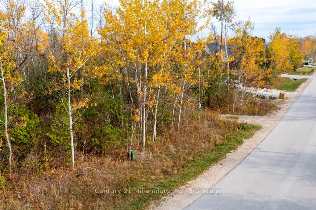 Photo 9 of LOT 26 Delphi Lane, Blue Mountains — HOMEH