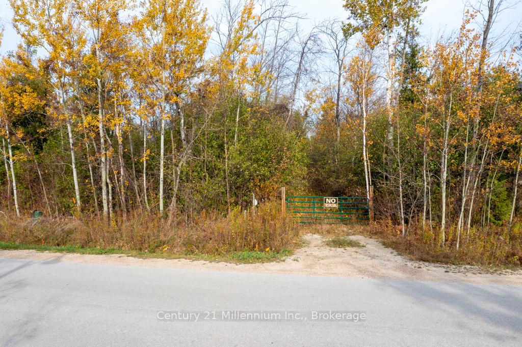 Photo 11 of LOT 26 Delphi Lane, Blue Mountains — HOMEH