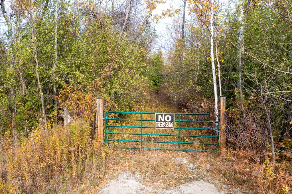 Photo 12 of LOT 26 Delphi Lane, Blue Mountains — HOMEH