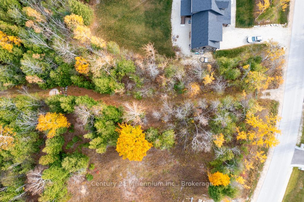 Photo 16 of LOT 26 Delphi Lane, Blue Mountains — HOMEH