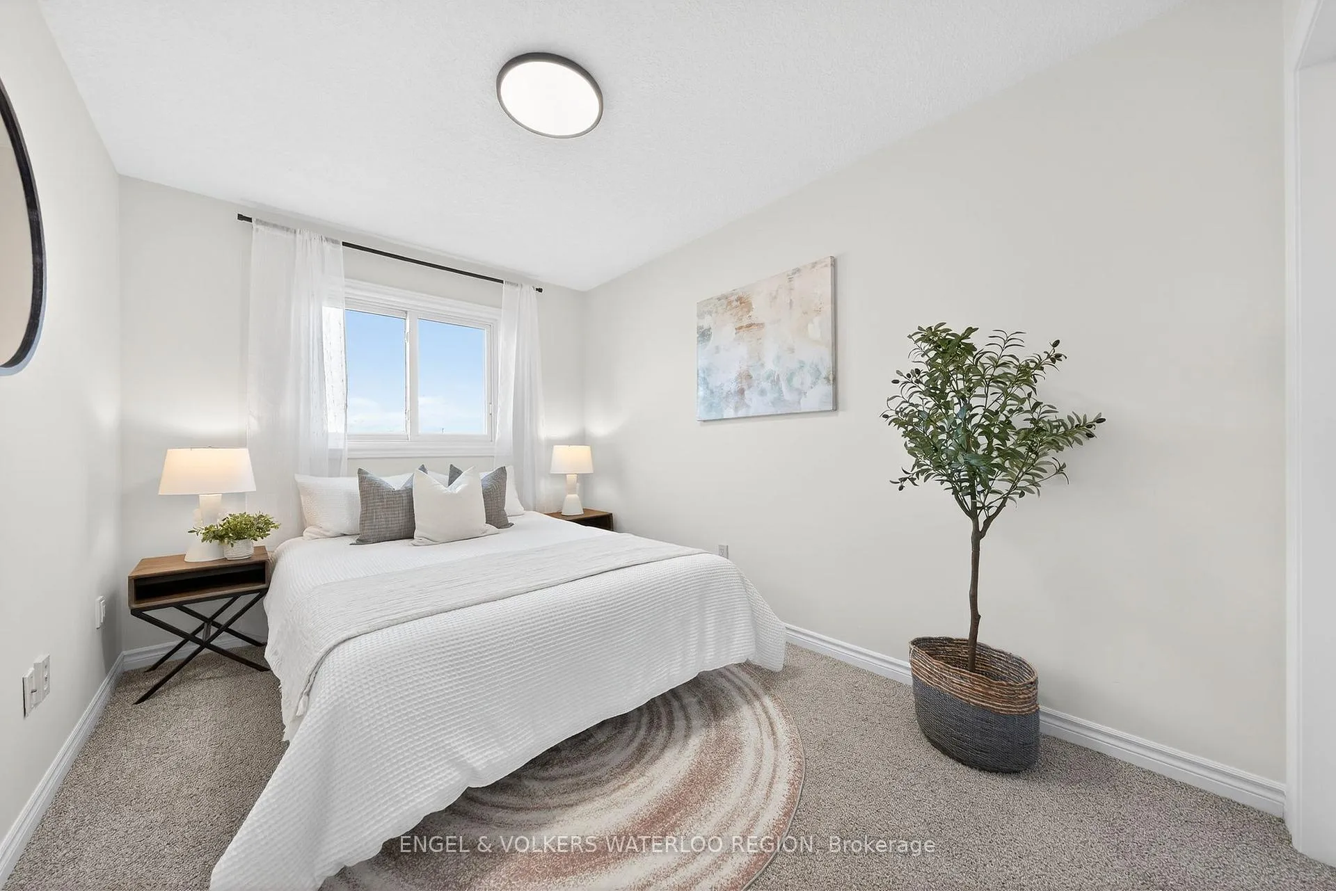 Photo 30 of 477 Colt Street, Waterloo, University Downs — HOMEH