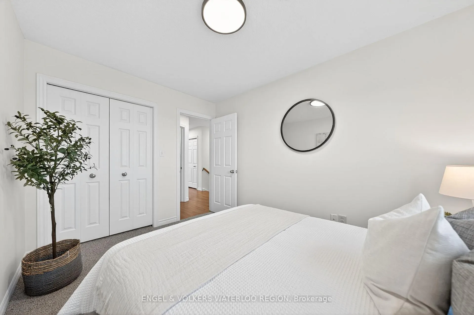 Photo 31 of 477 Colt Street, Waterloo, University Downs — HOMEH