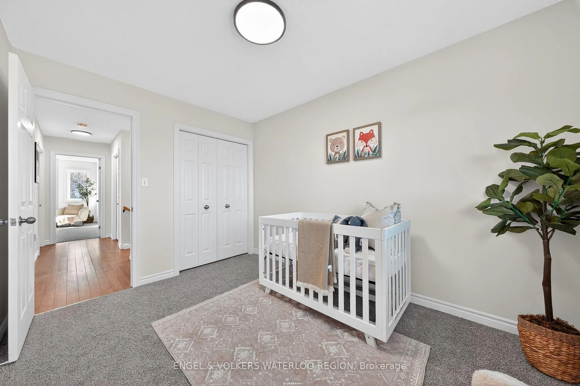 Photo 34 of 477 Colt Street, Waterloo, University Downs — HOMEH